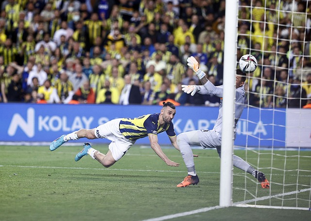 职业生涯添 职业生涯添