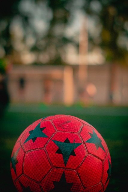 目的青年才 目的青年才