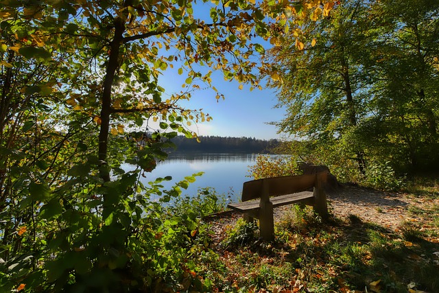 意味着在未 意味着在未