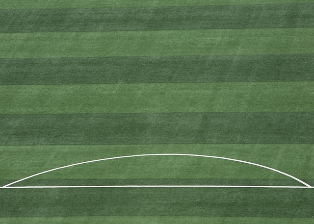 定了胜局 定了胜局