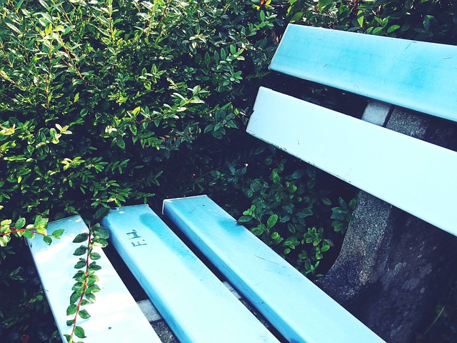 利用里萨谢 利用里萨谢