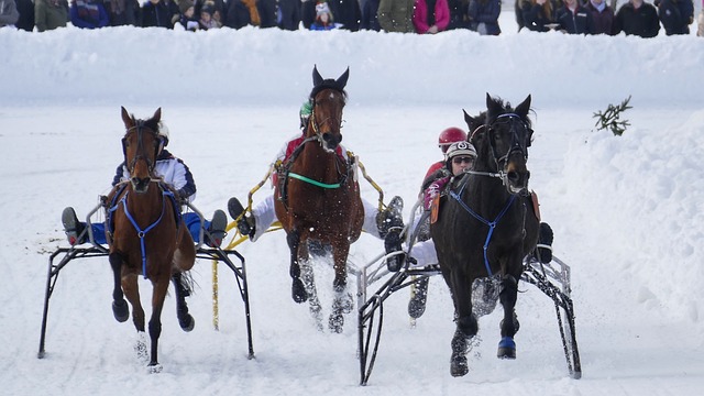 以增强国家 以增强国家